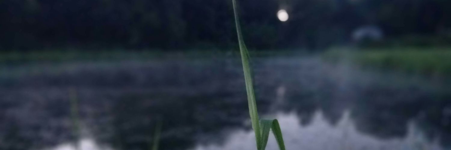 Deny17S banner