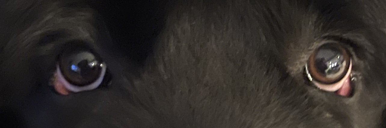 petemlc's profile banner image