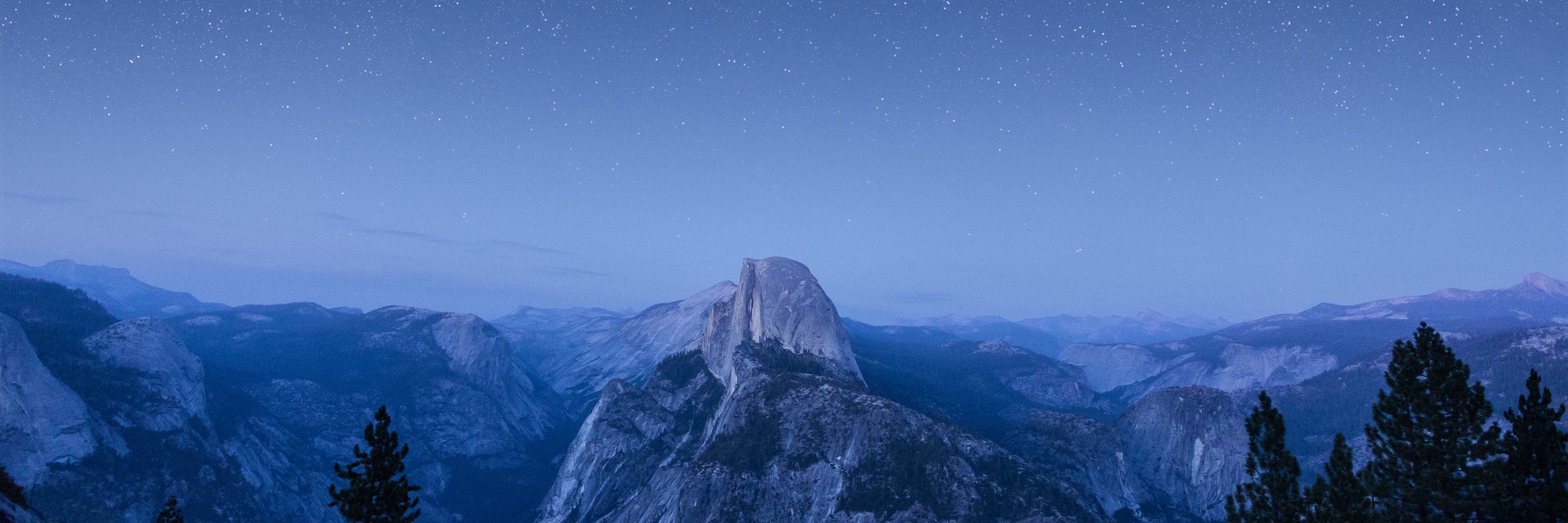 Марк Протасевич banner