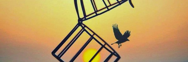 AzeezO96 Profile Banner