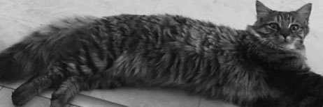 seymacksn's profile banner image