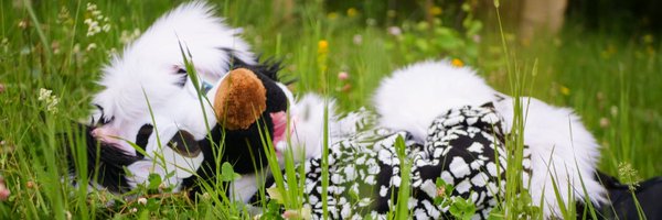 SolvingLenix Profile Banner