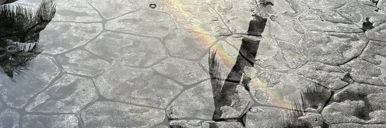 lrb_mx's profile banner image