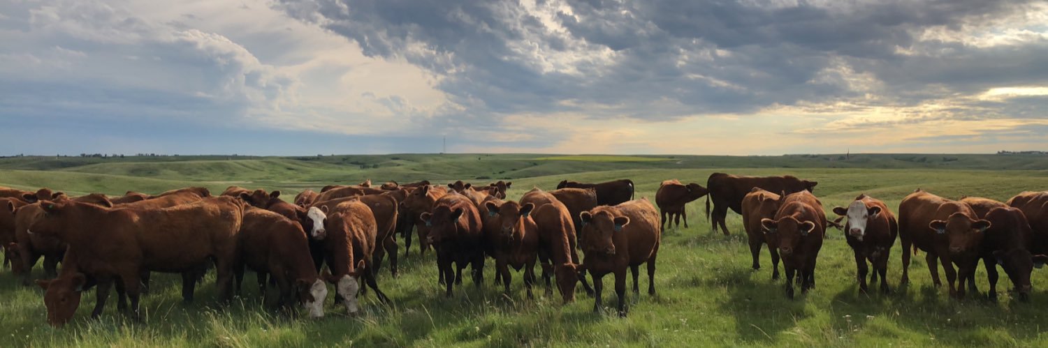 Jacob_Enge's profile banner image