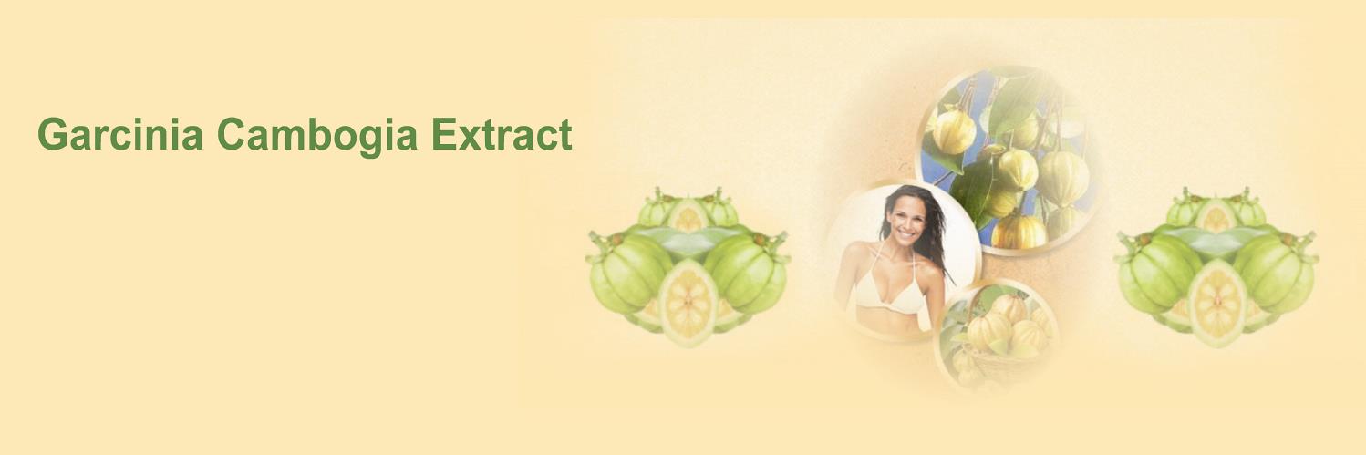 GarciniaCE's profile banner image