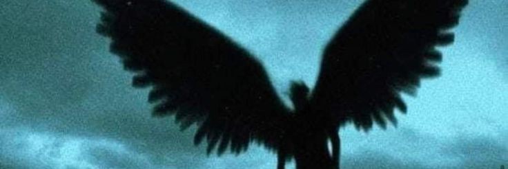 someone banner