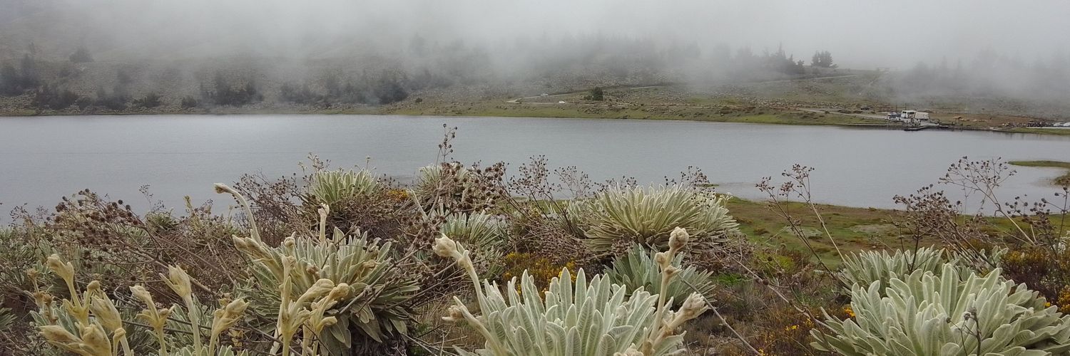 Gonzalez0481's profile banner image