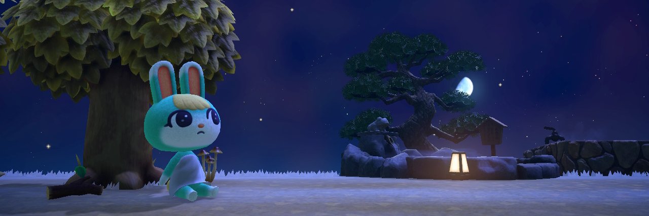 콰말 qamar 🐥 banner