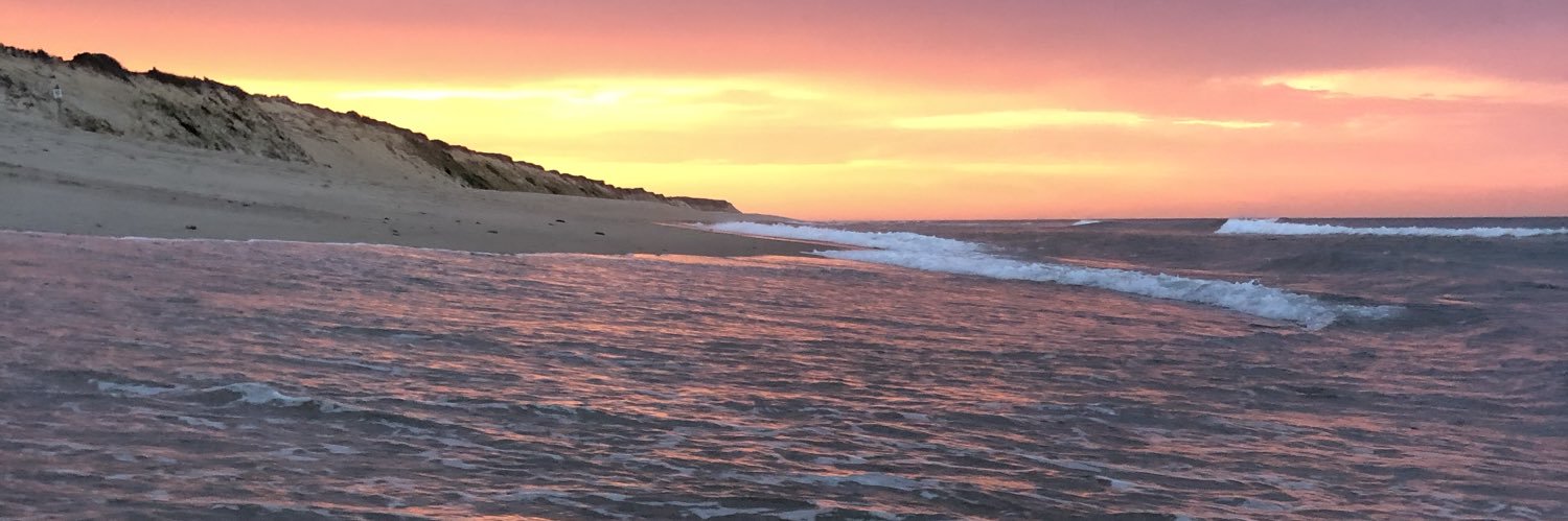 Matt Nickerson banner