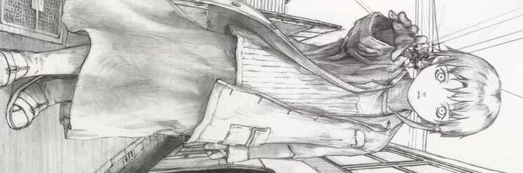 softizu's profile banner image