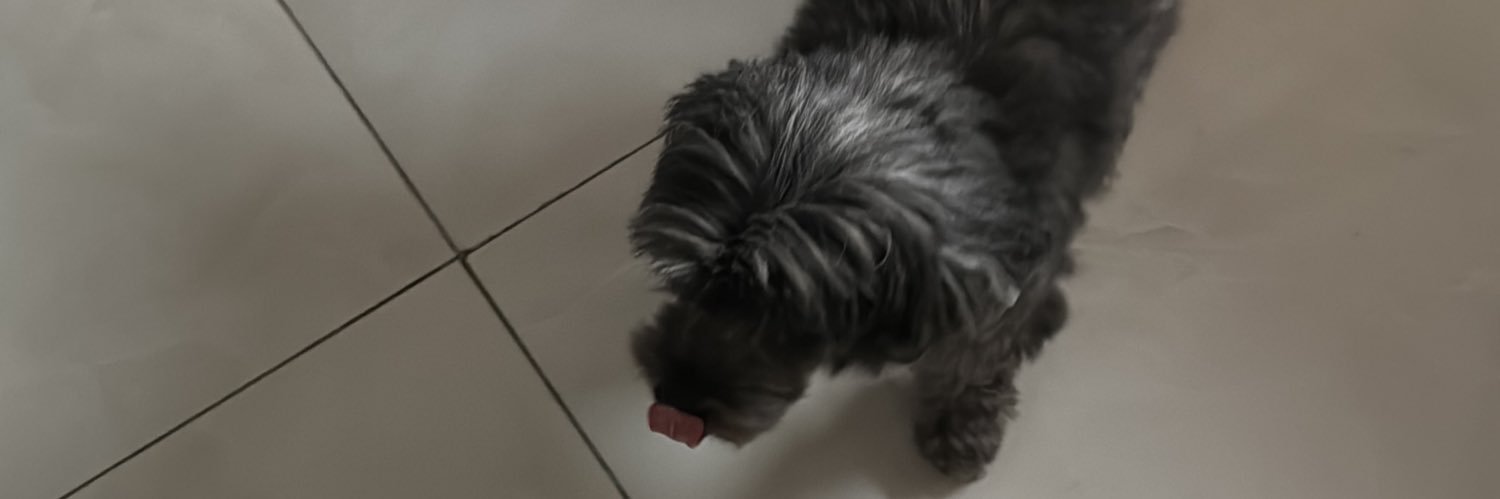 luisfelipevsb's profile banner image