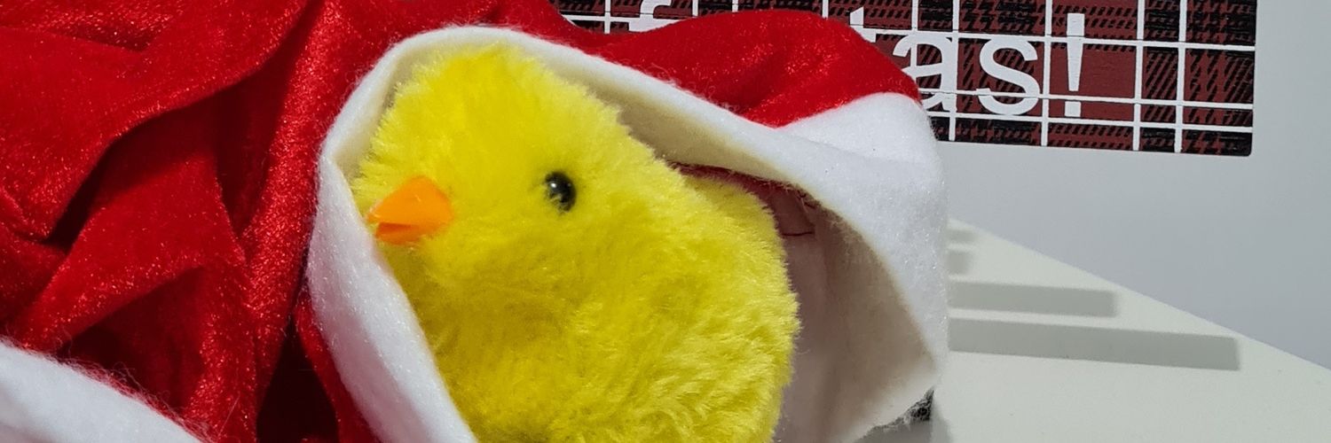 anacmel's profile banner image