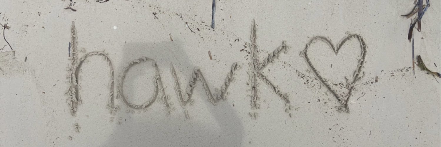 hawk banner