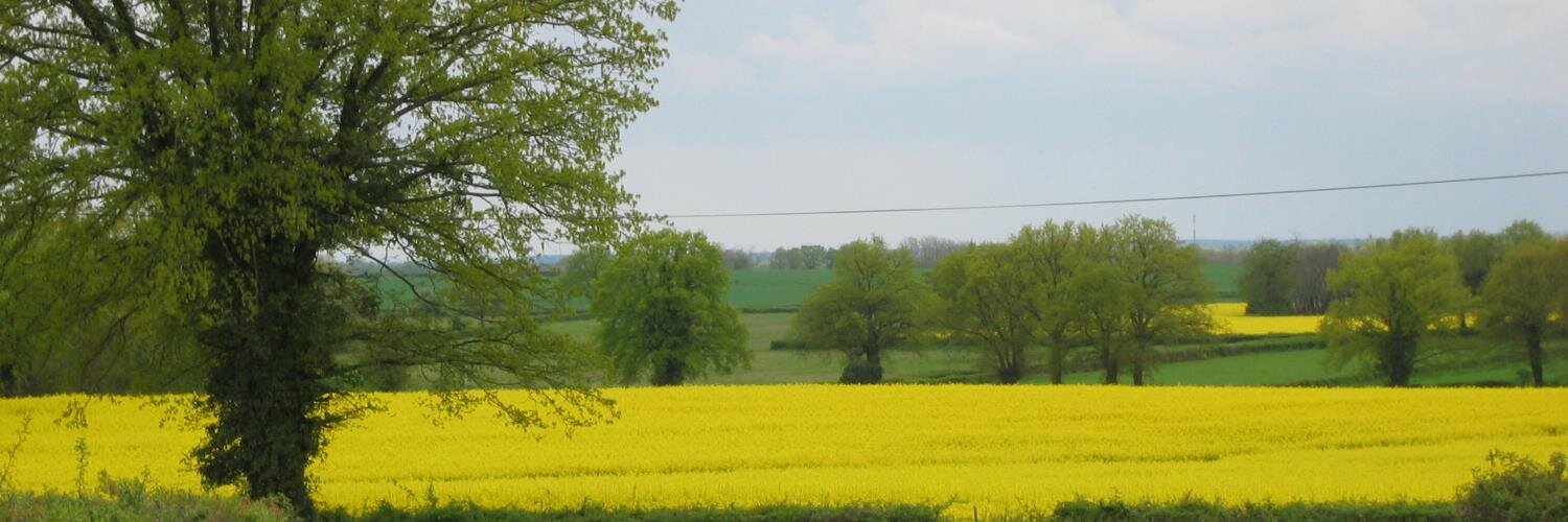 Earl Chamignon 🇫🇷 🇺🇦 🇮🇱 banner