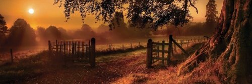 David J. Stewart banner