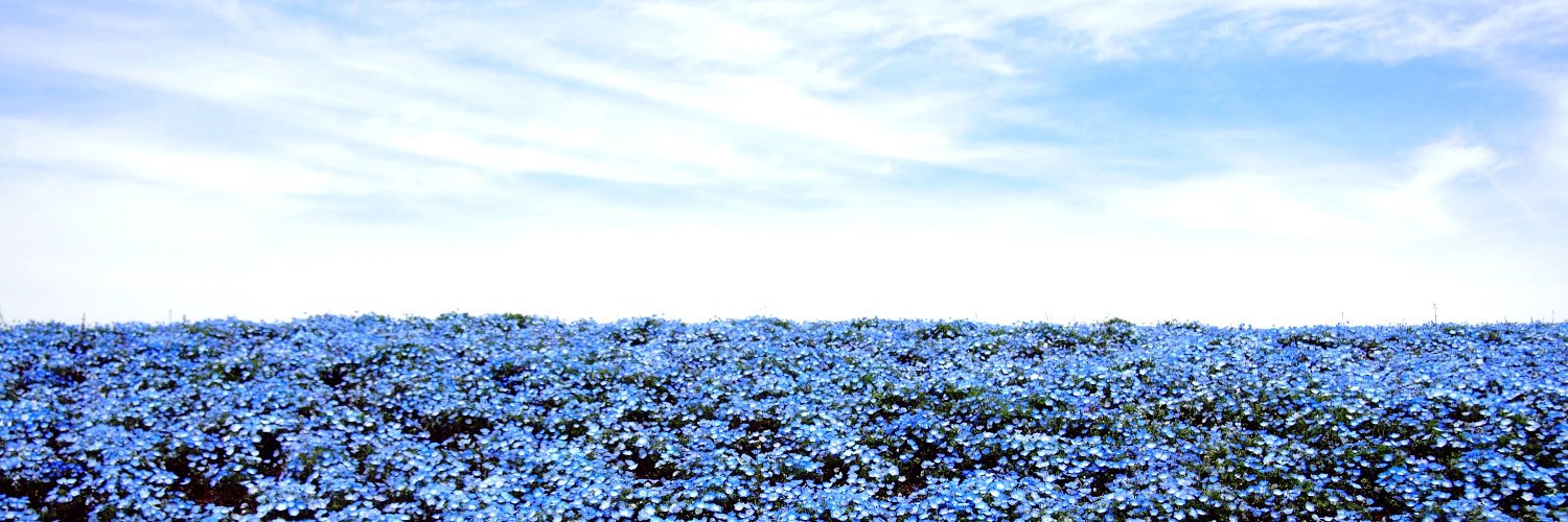 あきづき's banner