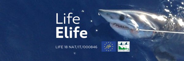 ElifeProject Profile Banner