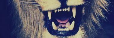SintijaBeiere's profile banner image