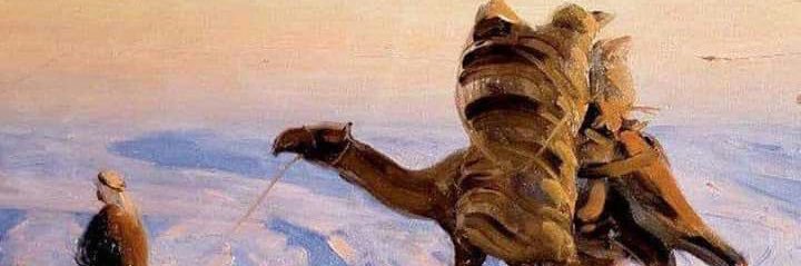 sayedmh2221's profile banner image