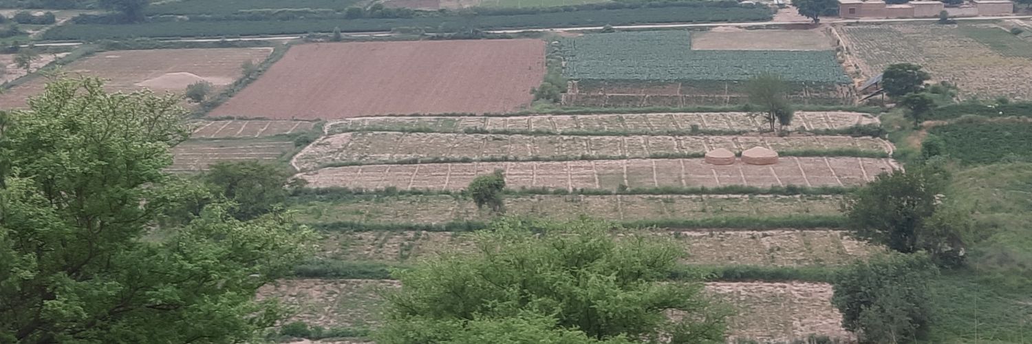 JunaydMalik's profile banner image