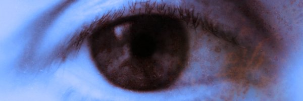 BarbaraBezina Profile Banner