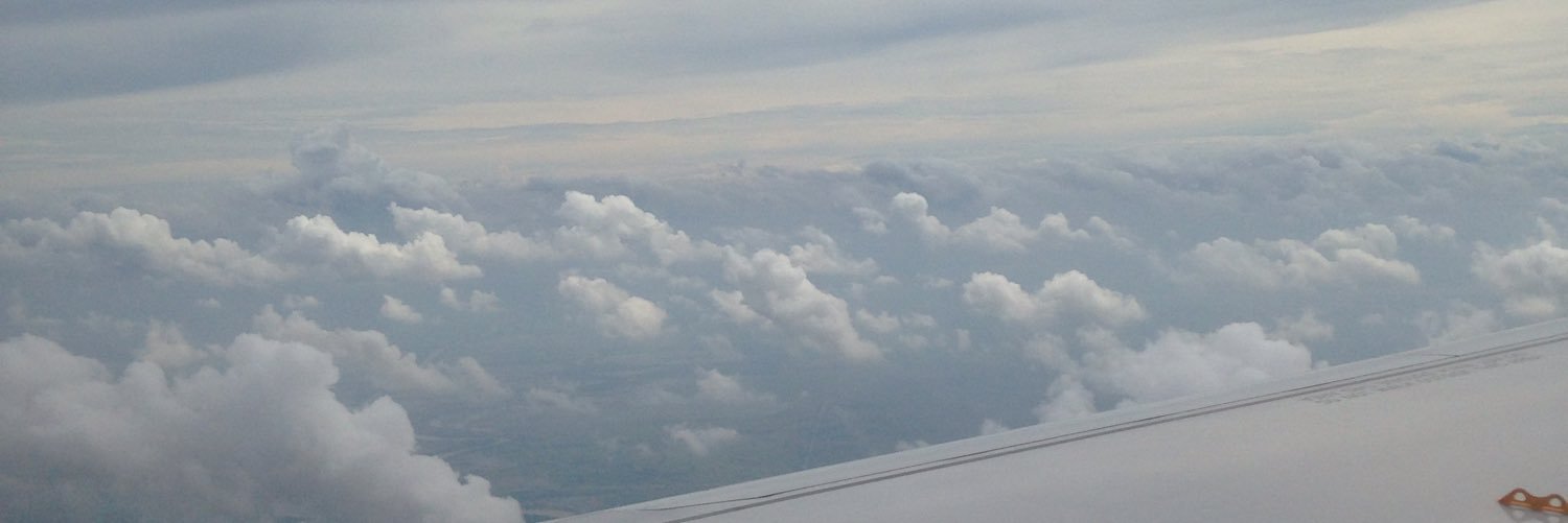 tammyyoct's profile banner image