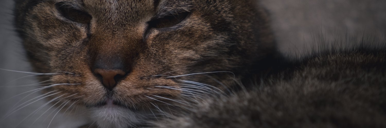 Jedenlezakdiky's profile banner image