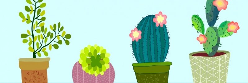 chemelia's profile banner image