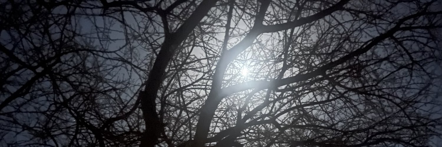 Nso7o's profile banner image