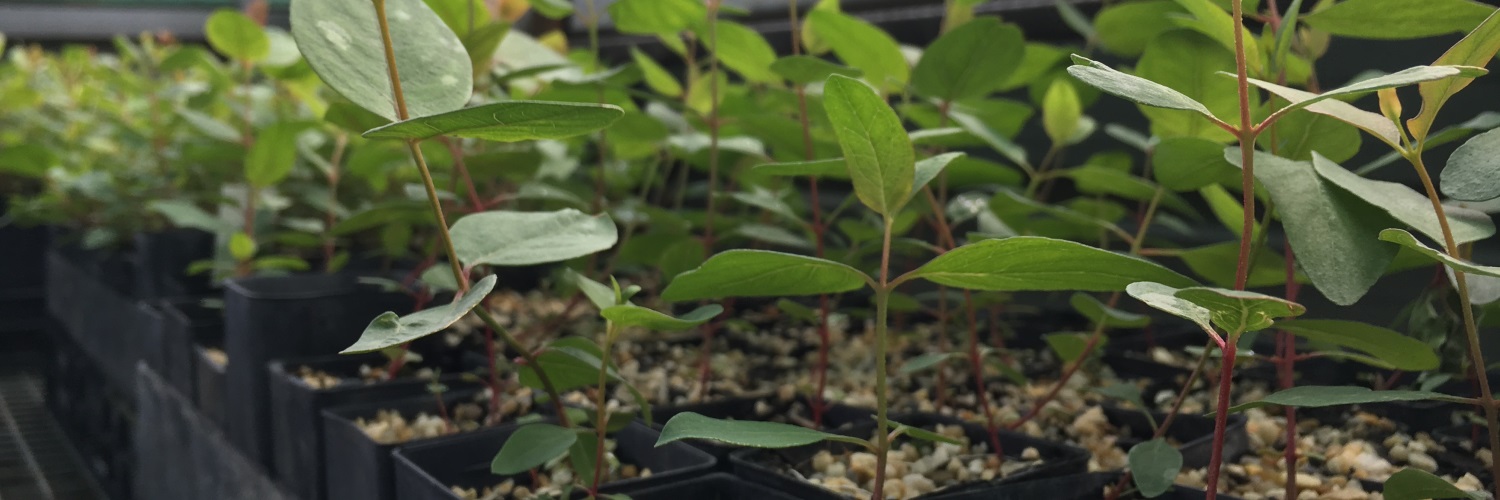 Eyre Peninsula Landscape Board banner