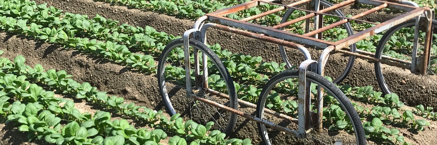 agricco's profile banner image