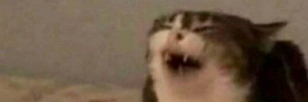 faribole2000 Profile Banner