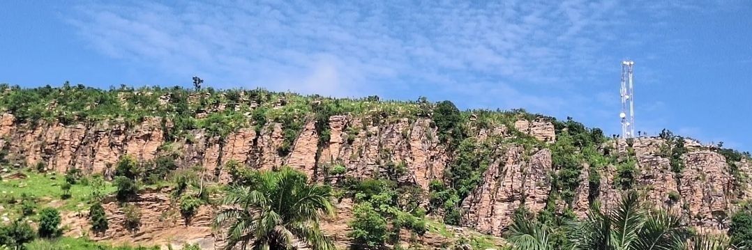 buveur2bissap95 banner