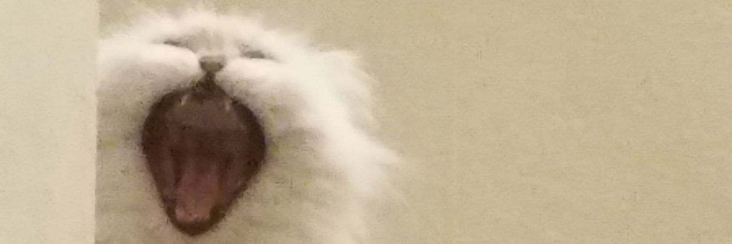 吉越拓矢 (Yoshi_koshi_TKY) / Twitter