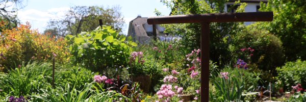 RIFT_Metus Profile Banner