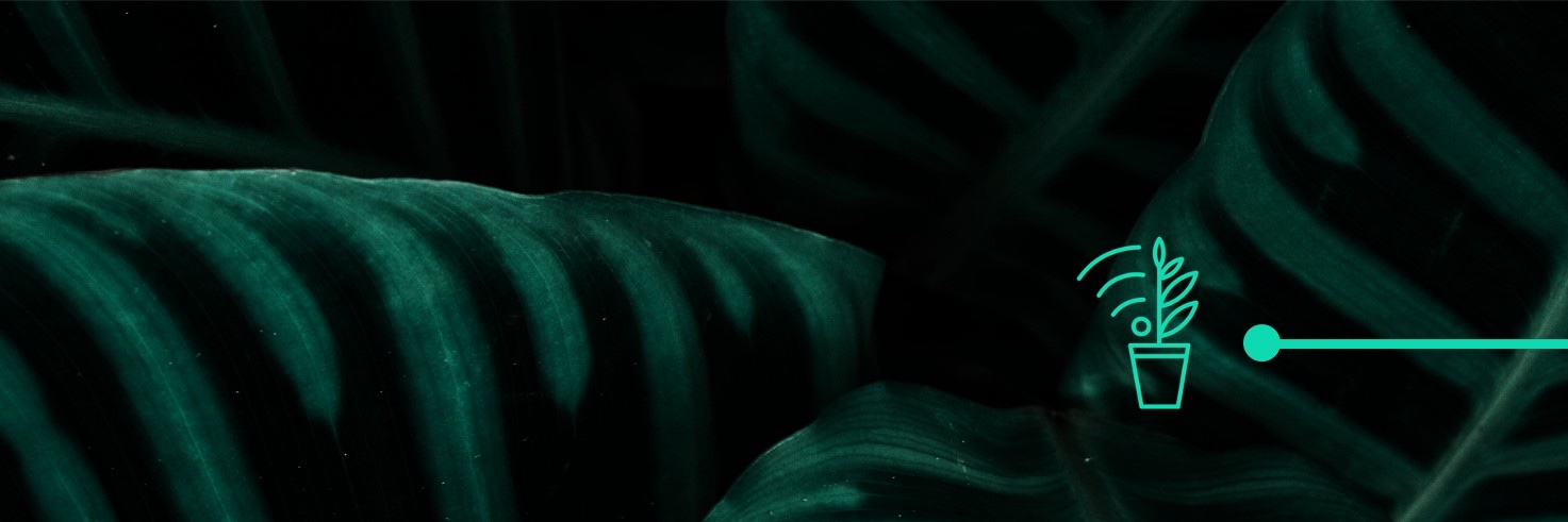 Oxygen at Work AG banner