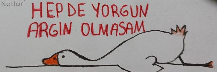 mimarikoo's profile banner image