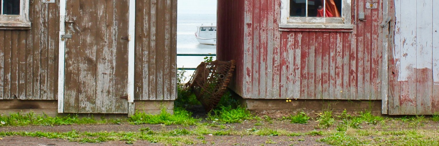 Proudly part of 🇨🇦 #TheFringe banner