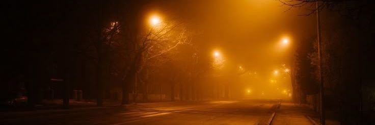 token !! 🍤 banner