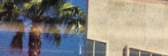 Puro Instinct banner