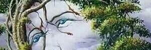 steevybij's profile banner image
