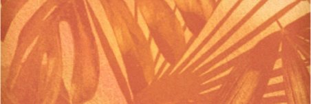 misasdesigns's profile banner image