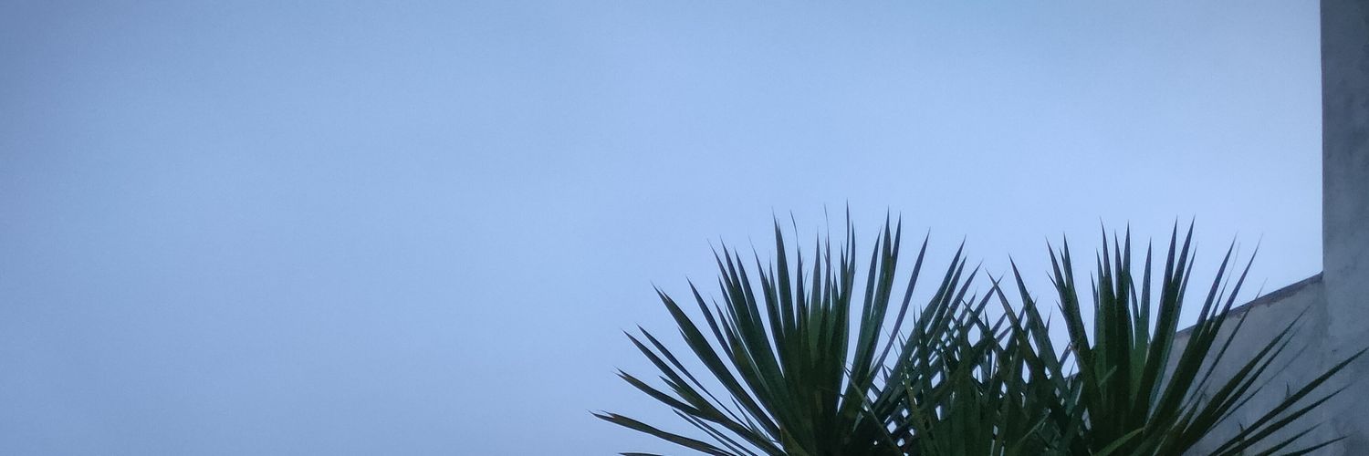 828 tapes banner