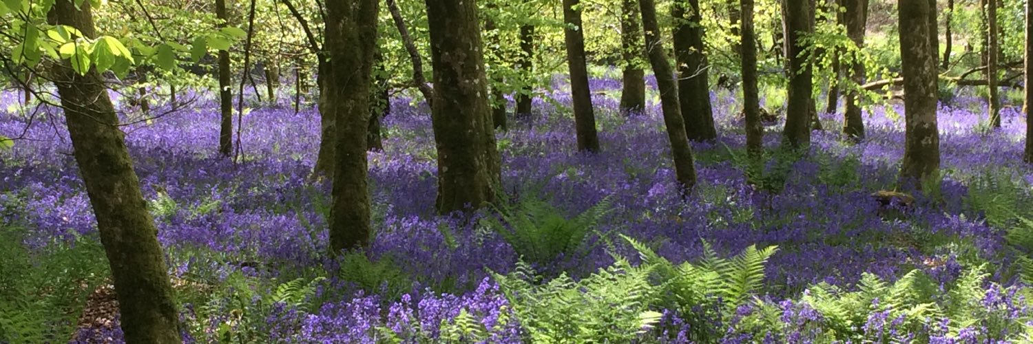 Lynwen Davies banner