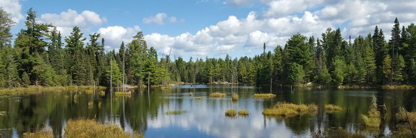 LightsMaga Profile Banner