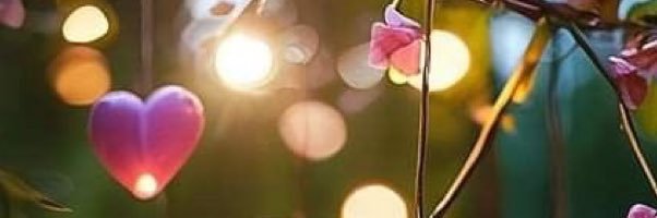 matudakisimu's profile banner image