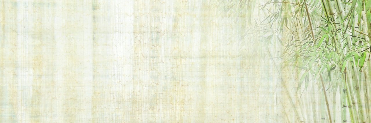start_king's profile banner image