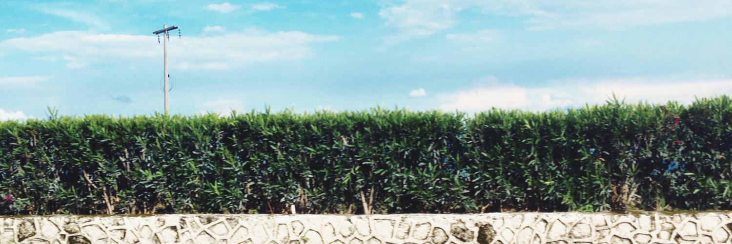 Beatriz Esquivel banner