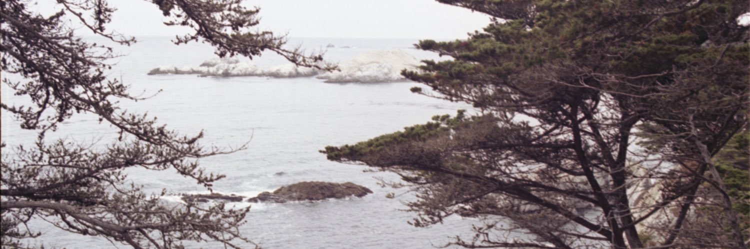 noushh's profile banner image