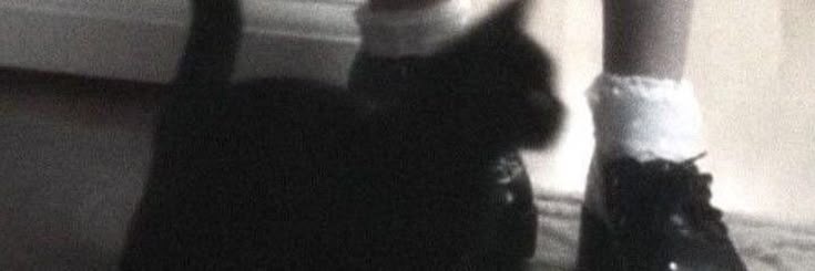 kicziko's profile banner image